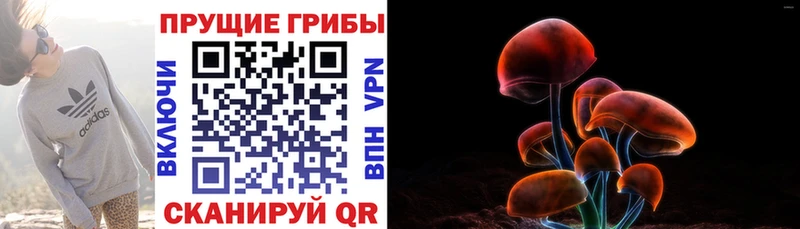Галлюциногенные грибы Cubensis Липецк